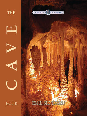 cover image of The Cave Book